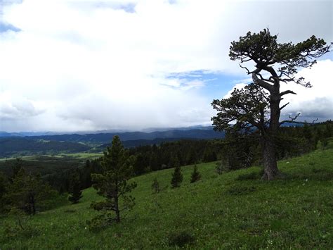 Porcupine Hills Hike - Adventures For Wilderness