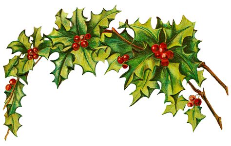 Holly Clip Art Free - ClipArt Best