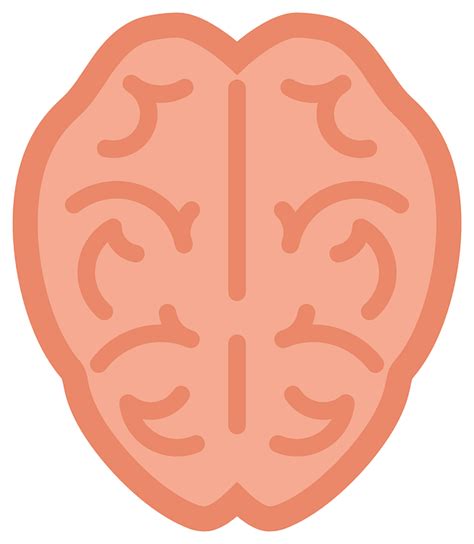Мозг Человека Вид Сверху · Бесплатная векторная графика на Pixabay
