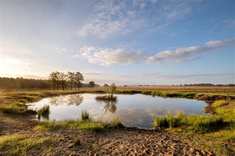 Natuurwetten en -regels