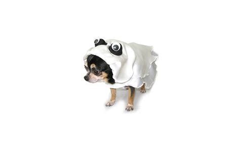 11 Funny Dog Costumes That Don't Require DIY