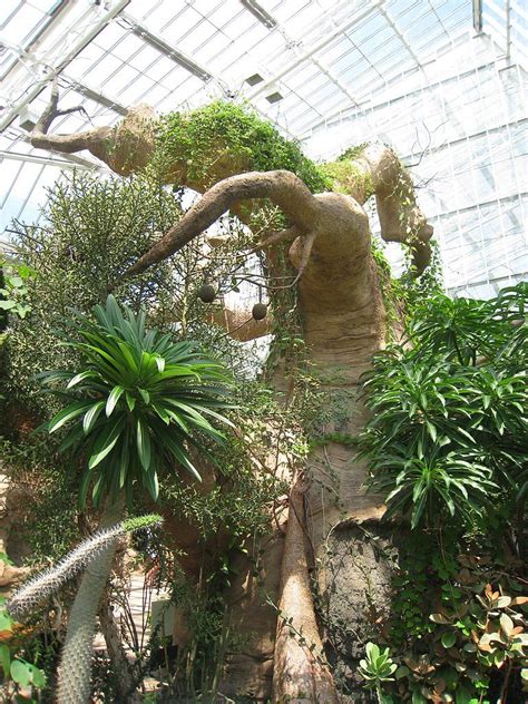 Cleveland Botanical Garden | Cleveland botanical garden, Botanical gardens, Forest garden