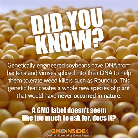 GMO Soy - Did you know? - Best Prostate HealthBest Prostate Health