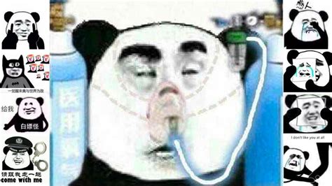 What's With Those 'Chinese Panda' Memes? China's Wojak-like 'Biaoqing ...