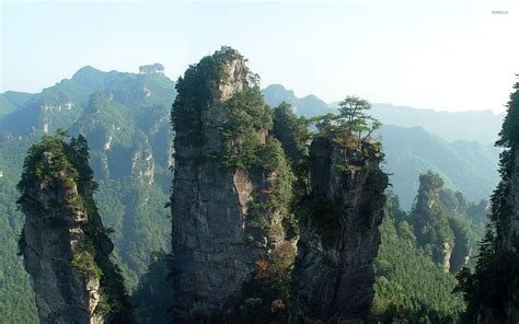 Tianzi mountains, China wallpaper - Nature wallpapers - #30210