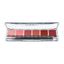 Ben Nye Natural Lip Color Palette | Camera Ready Cosmetics