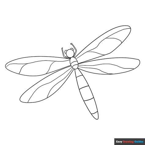 Dragonfly Coloring Page | Easy Drawing Guides