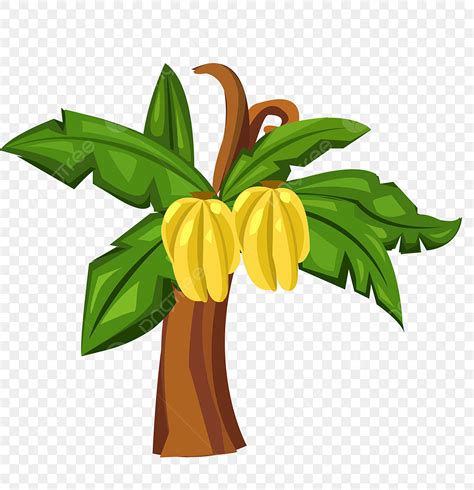 Banana Tree Leaves Clip Art