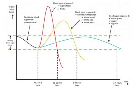 Effects of Different Carbohydrates on Blood Glucose – iHealth Labs Inc