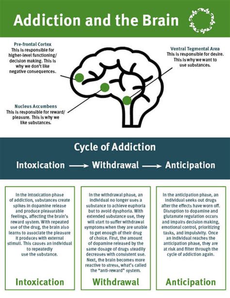 How Does Addiction Affect the Brain? | Ashley Treatment