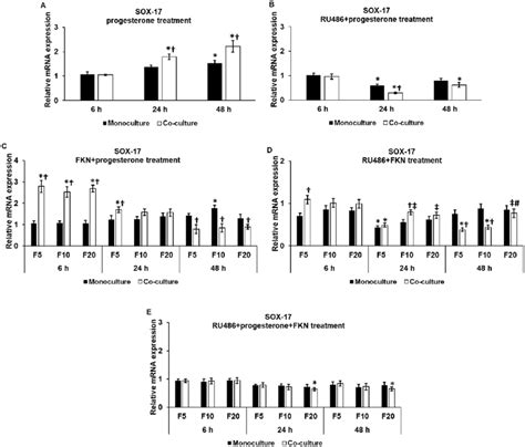 Effects of progesterone and RU486 progesterone receptor antagonist on... | Download Scientific ...