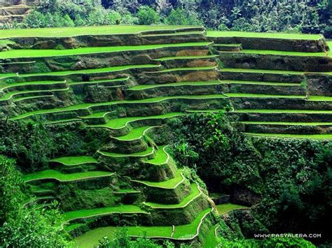 Filipinas-Beauty: Banaue Rice Terraces of Ifugao Mountain, Philippines | Banaue rice terraces ...