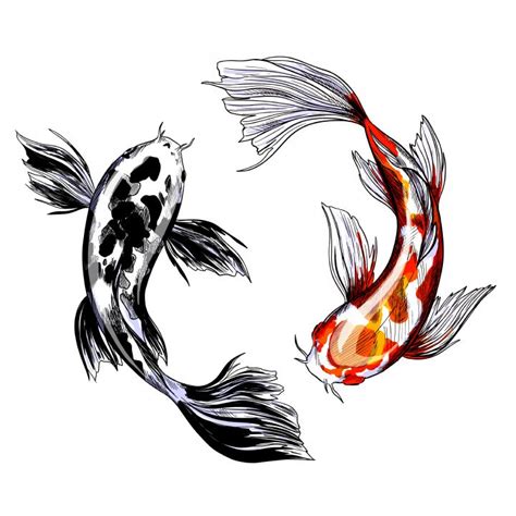 tattoo drawings #tattoo drawings | Koi fish drawing, Koi art ...