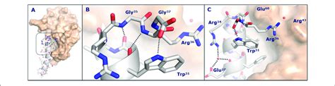 Semaglutide Chemical Structure