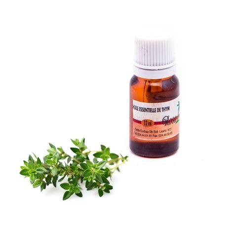 Thyme Essential Oil - RosaHuile