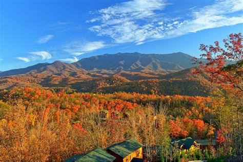 Smoky Mountain Fall Foliage