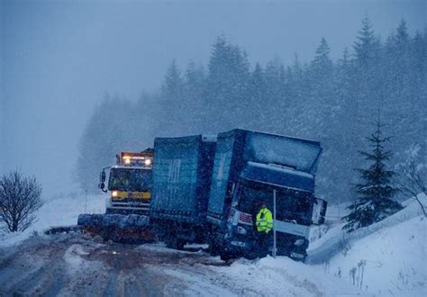 'Displaced Polar vortex' to hit UK and cause weather HAVOC next week | Nature | News | Express.co.uk