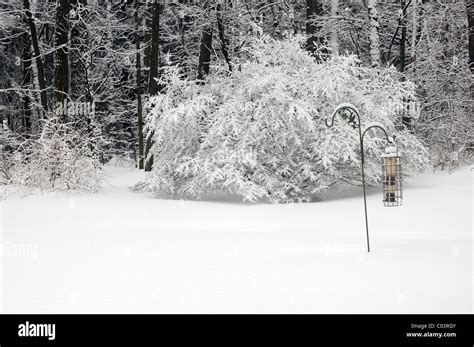 Snowy winter scene Stock Photo - Alamy