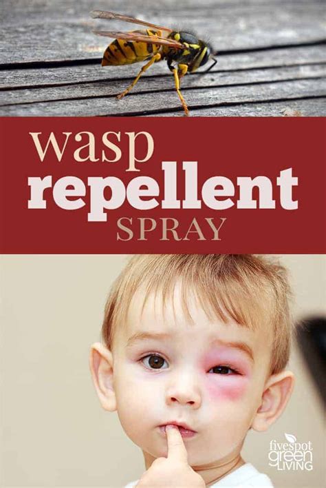 Amazing Homemade Wasp Repellent Recipe - Five Spot Green Living