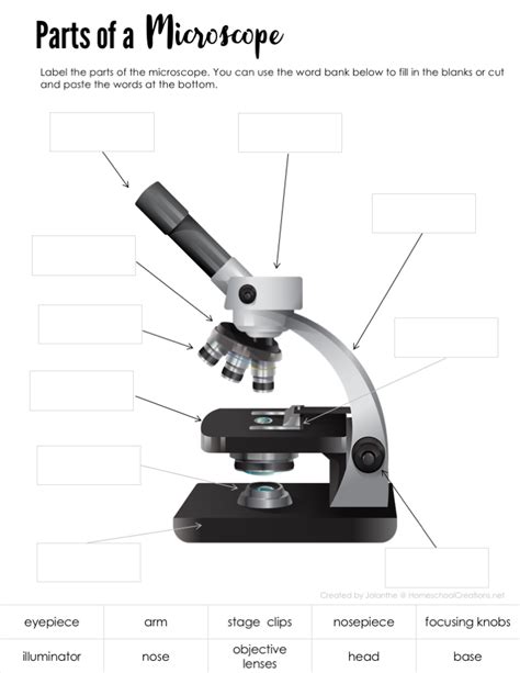 Microscope Parts Worksheet - Printable Word Searches