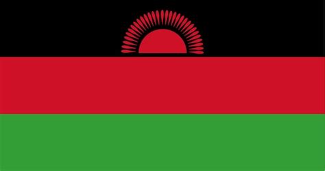 Premium Vector | Malawi flag in vector