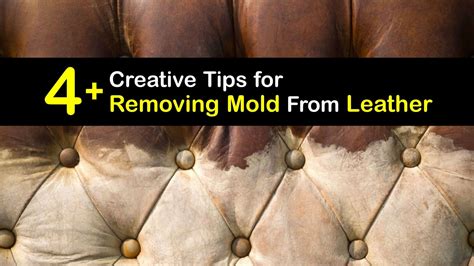 Mildew Removal - Tricks for Cleaning Mold off Leather Furniture