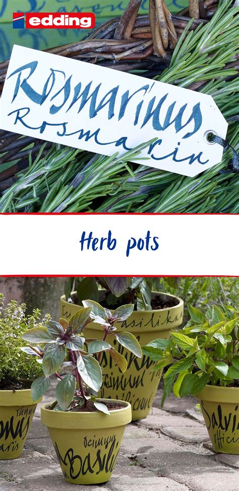 Herb pots | Herb pots, Herbs, Plants