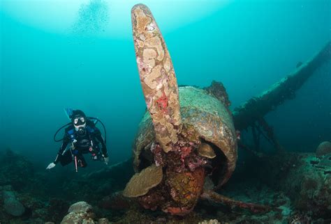 Diving in Palau: The Best Adrenaline Diving In the World - Epic7Travel ...