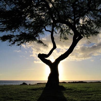 Sunset At Nanakuli Beach Park 12 01 2018 Nanakuli Oahu Hawaii Stock ...