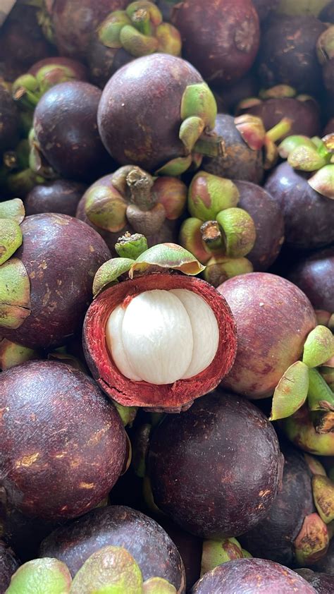 Mangosteen Malaysia | Fruits Equation