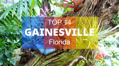 Top 14. Best Tourist Attractions in Gainesville - Florida - YouTube