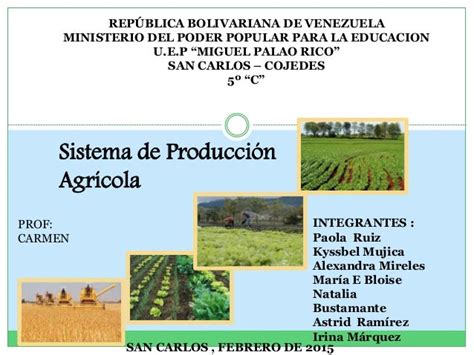 Sistema De Produccion Agricola - creditohaigi