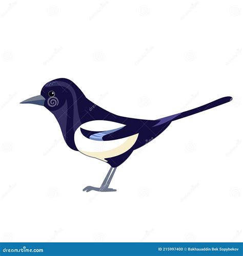 Magpie. Black White Crow Bird. Cartoon Flat Vector Illustration ...