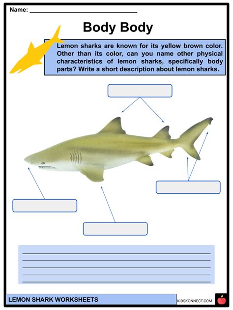 Lemon shark Habitat, Behavior, Facts & Worksheets for Kids | KidsKonnect