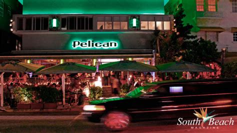 Pelican Hotel | South Beach Magazine