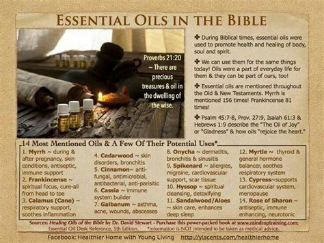 Biblical oils | Living essentials oils, Essential oils herbs, Essential oils