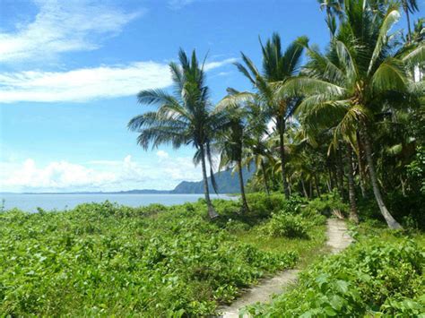 Manusela National Park, Seram Island, Maluku: Get the Detail of ...