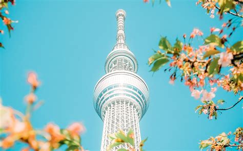 Visit Tokyo Skytree: Explore the Iconic Tokyo Skytree