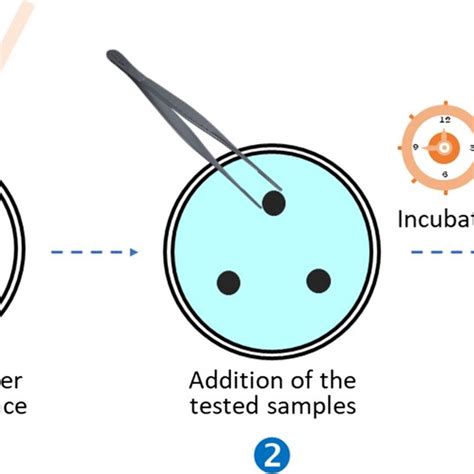 Schematic representation of the disk diffusion method of Kirby and Bauer | Download Scientific ...