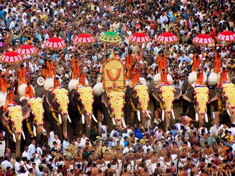 The Golden Chariot - Luxury train of south India: Elephants-An essential part of the culture of ...