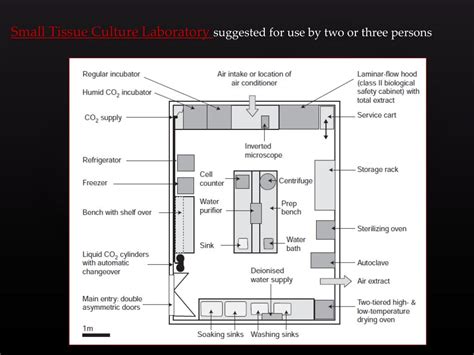 Top 70 + Animal cell culture laboratory design ppt - Lifewithvernonhoward.com