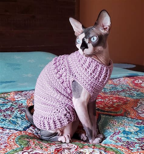 11 Purr-fectly Adorable and Free Crochet Cat Sweater Patterns