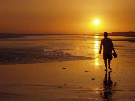 Man walking at sunset stock image. Image of vacation, relax - 1402851