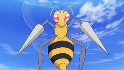 Beedrill Evolution Chart