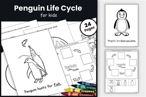 Penguin Life Cycle Craft & Activities Graphic by TheStudyKits · Creative Fabrica