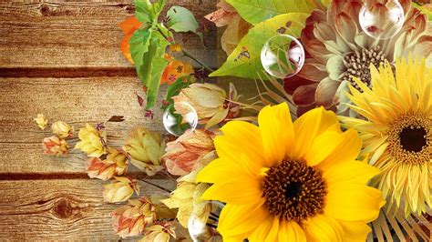 Autumn With Sunflowers Wallpapers - Wallpaper Cave