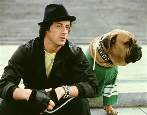 sylvester, Stallone, Rocky, Movies, 145, 2 Wallpapers HD / Desktop and Mobile Backgrounds