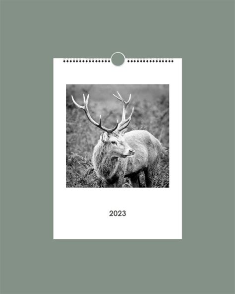 2023 British Wildlife Calendar — Mark Chambers Photography