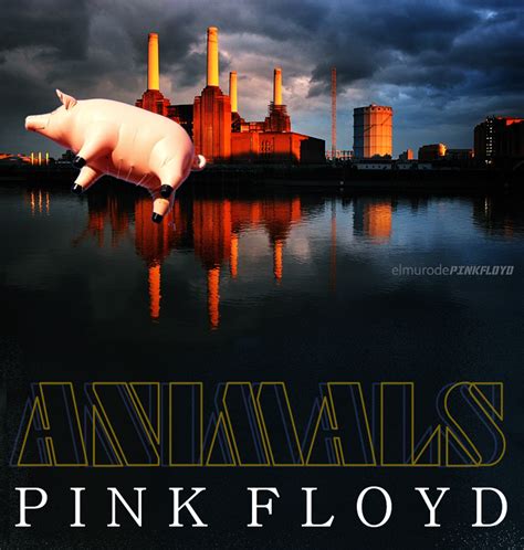 Pink Floyd Album Covers Animals