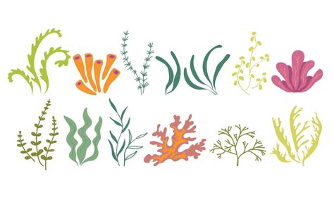 Underwater marine flora. Seaweed ocean plants phytoplankton, algae, laminaria, sea moss. Green ...